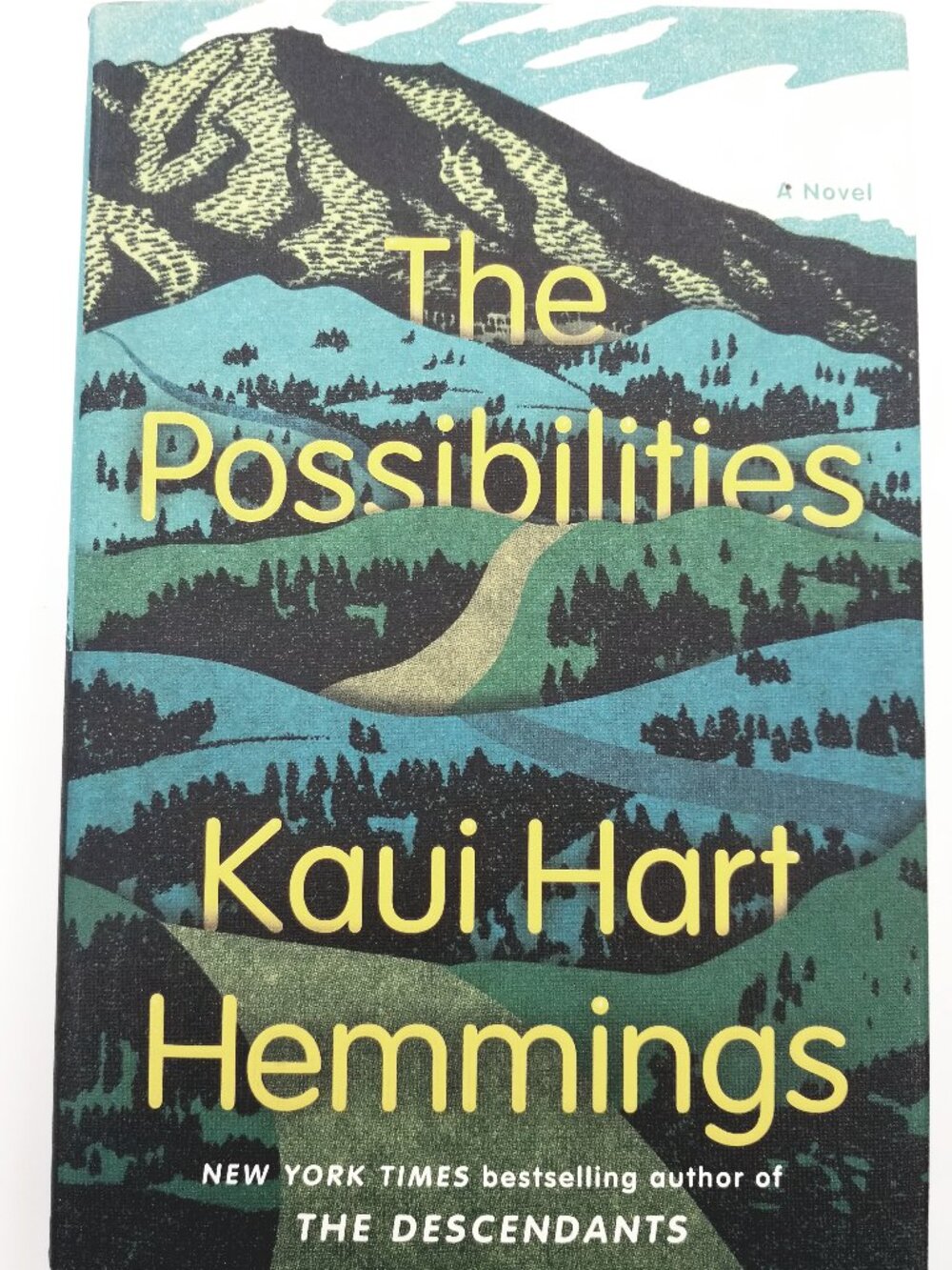 'The Possibilities' book by Kaui Hart Hemmings